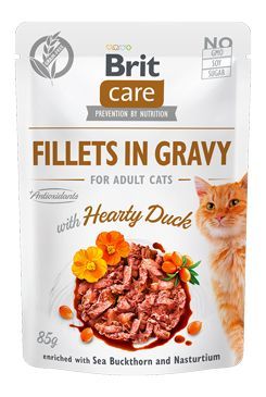 BRIT Care Fillets in gravy kaczka 24 x 85 g filety kaczki w sosie