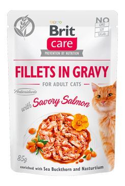 BRIT Care Fillets in gravy savory salmon 24 x 85 g filety łososia w sosie