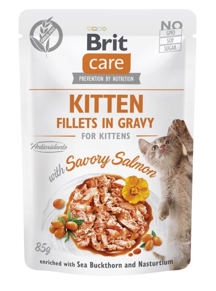 BRIT CARE Fillets in Gravy Pouch Kitten Savory Salmon 24x85g z łososiem dla kociąt