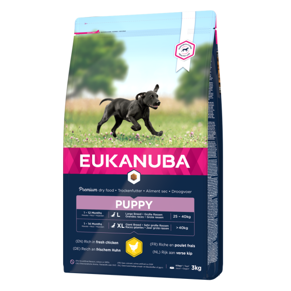 EUKANUBA Growing Puppy Large Breed bogata w świeżego kurczaka 3kg