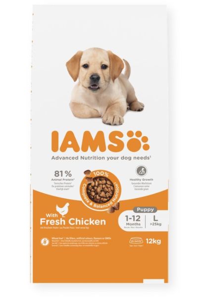 IAMS Advanced Nutrition Puppy Junior Large Breed Chicken 12 kg