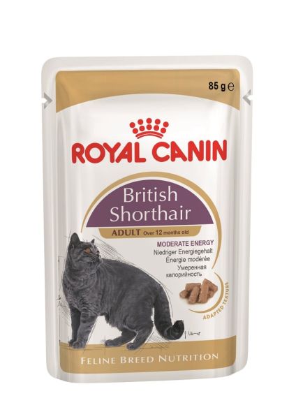 ROYAL CANIN British Shorthair karma mokra w sosie dla kotów dorosłych rasy brytyjski krótkowłosy 12x85 g