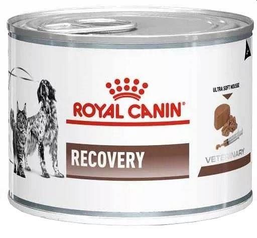 ROYAL CANIN Vet dog/cat recovery 195 g mokra karma dla psów i kotów w okresie intensywnej terapii i po zabiegach chirurgicznych, w okresie rekonwalescencji