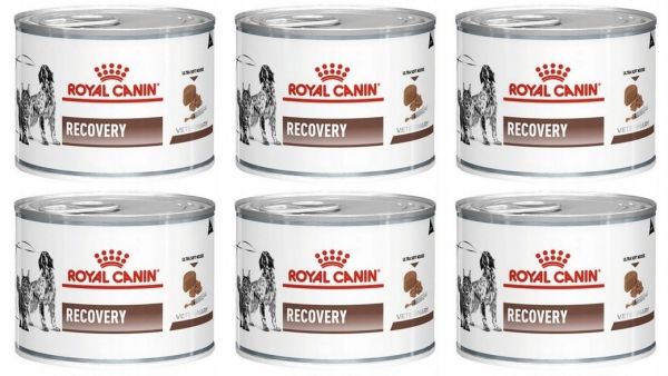 ROYAL CANIN Recovery 6 x 195 g mokra karma dla psów i kotów w okresie intensywnej terapii i po zabiegach chirurgicznych, w okresie rekonwalescencji