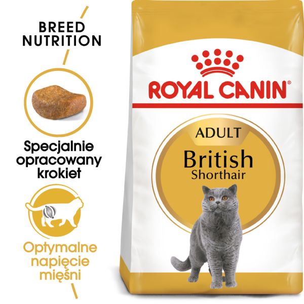 ROYAL CANIN British Shorthair karma sucha dla kotów dorosłych rasy brytyjski krótkowłosy 10 kg