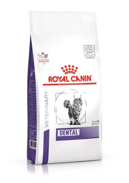 ROYAL CANIN Cat dental 3 kg sucha karma dla kotów narażonych na rozwój kamienia nazębnego lub po zabiegu usunięcia kamienia