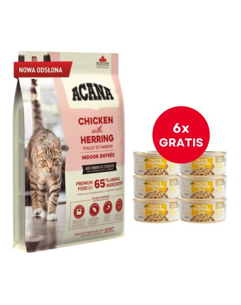 ACANA Indoor Entrée Cat 4,5 kg + APPLAWS Cat Adult Tuna Fillet with Salmon in Jelly tuńczyk i łosoś w galarecie 6 x 70g GRATIS
