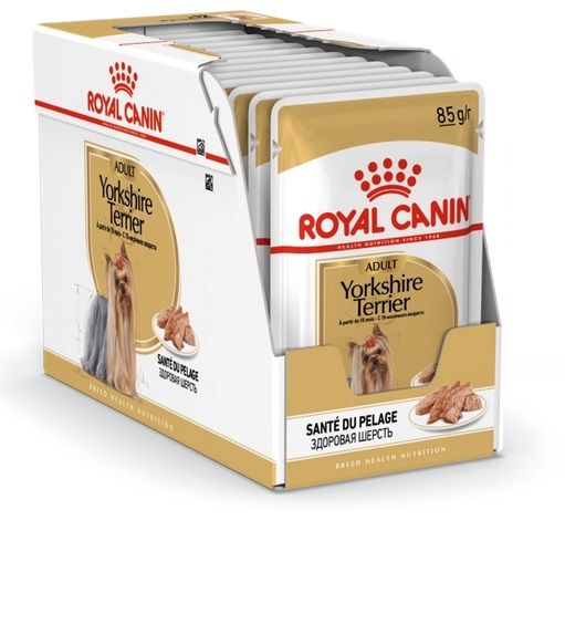 ROYAL CANIN Breed Mini Yorkshire 12 x 85 g karma mokra dla Yorka
