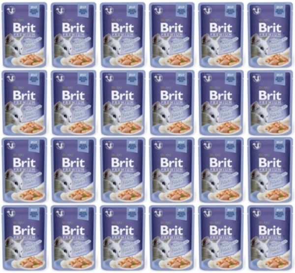 BRIT Premium Cat  Fillets in Jelly mokra karma z łososiem dla kotów 24x85 g