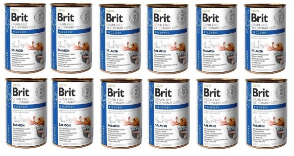 BRIT Veterinary Diet Recovery Salmon karma na regenerację dla psa i kota 12x400 g