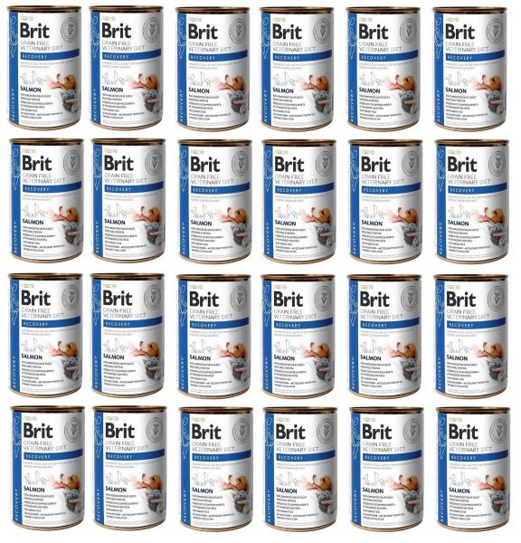 BRIT Veterinary Diet Recovery Salmon karma na regenerację dla psa i kota 24x400 g