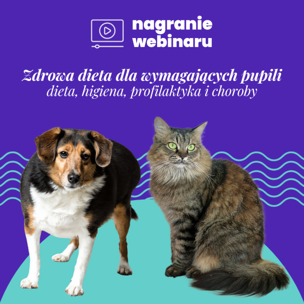 Zdrowa dieta dla wymagających pupili: nagranie