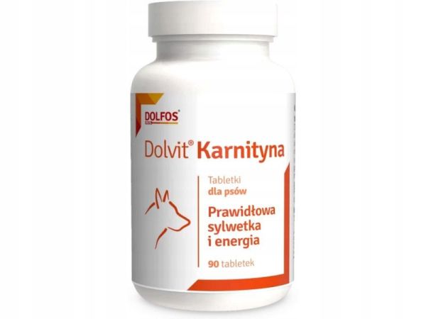 DOLVIT KARNITYNA 90TAB.