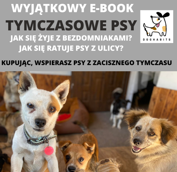 Tymczasowe psy. Jak się żyje z bezdomniakami? - Ebook