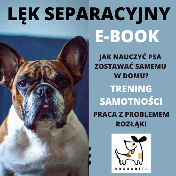 Lęk separacyjny