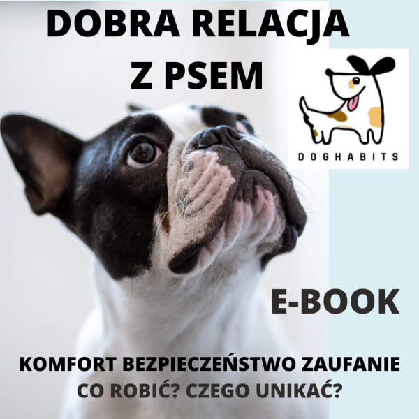 Dobra relacja z psem - Ebook