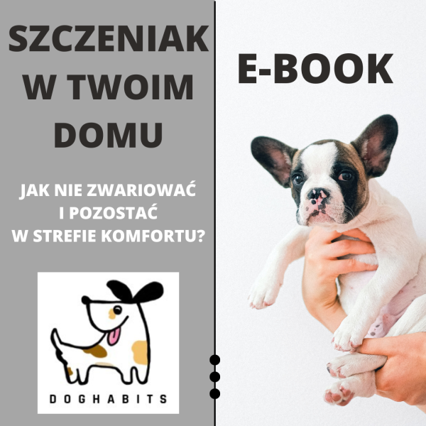 Szczeniak w Twoim domu