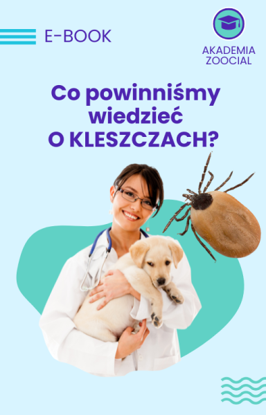 Co powinniśmy wiedzieć o kleszczach?