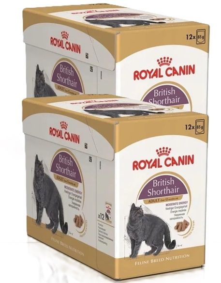 ROYAL CANIN British Shorthair karma mokra w sosie dla kotów dorosłych rasy brytyjski krótkowłosy 24x85 g