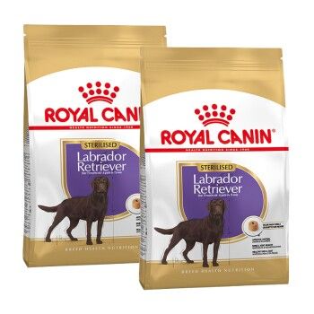 ROYAL CANIN Labrador retriever adult sterilised 2 x 12kg sucha karma dla psów rasy labrador retriever powyżej 15 miesiąca życia po zabiegu sterylizacji