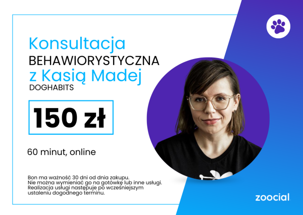 Konsultacja behawiorystyczna online dla psów z Kasią Madej 60 minut
