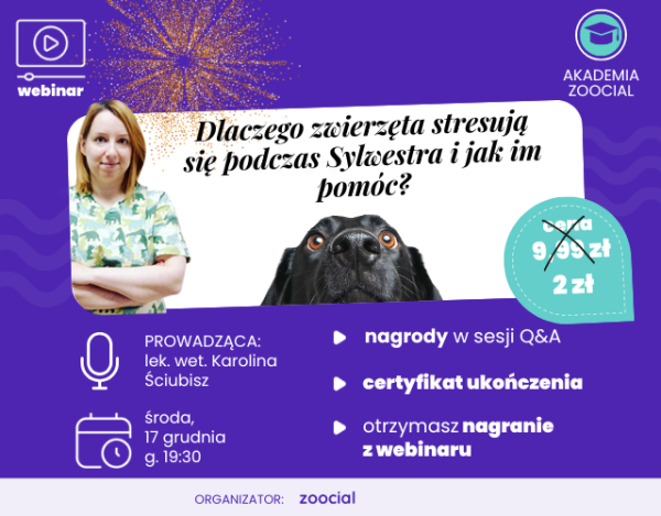 Zwierzęta w sylwestra: webinar