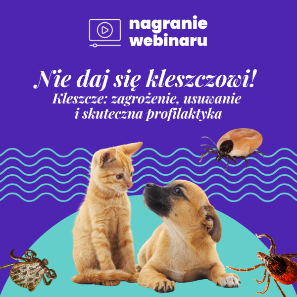 Kleszcze – profilaktyka: nagranie webinaru