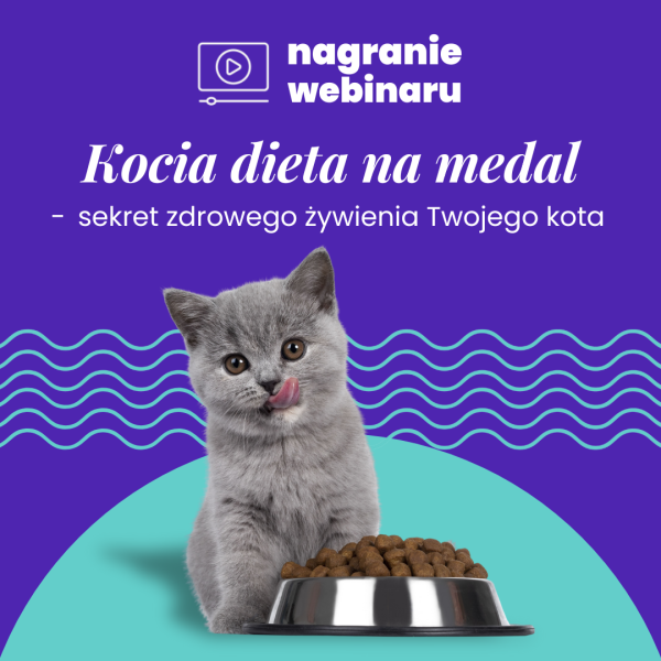 Kocia dieta na medal: nagranie webinaru