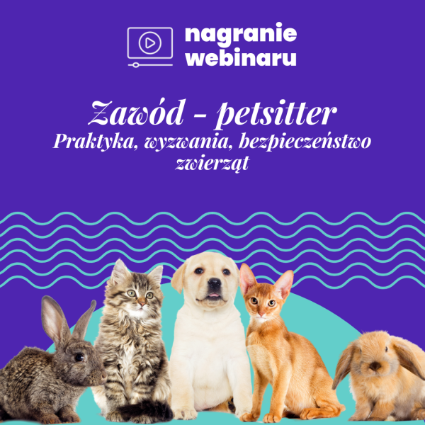 Zawód: petsitter: nagranie webinaru