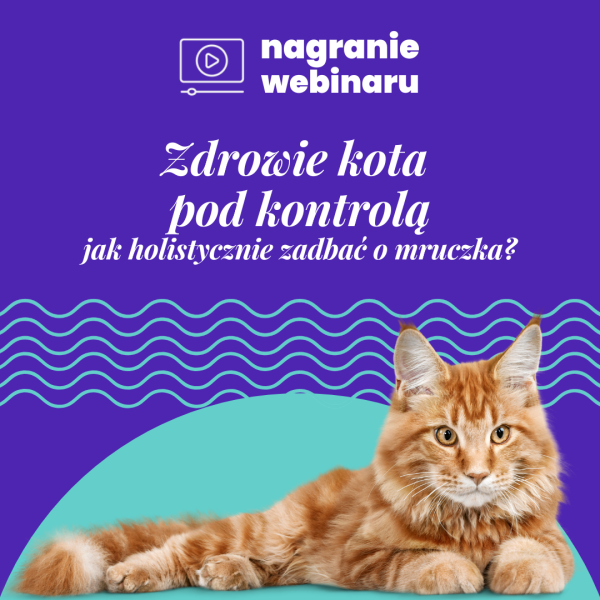 Zdrowie kota pod kontrolą: nagranie webinaru
