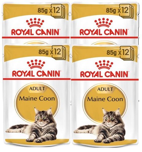 ROYAL CANIN Mainecoon saszetka 48x85 g