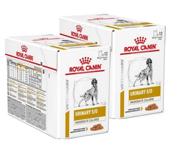 ROYAL CANIN VET Dog Urinary 24x100 g